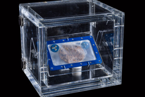 First food ever baked in space gets a home at the Smithsonian